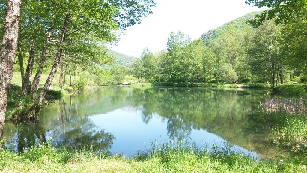 Camping Paradis La Marmotte Ax-les-Thermes Zewnętrze zdjęcie